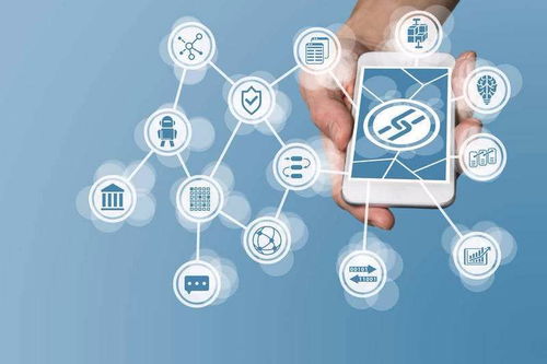 臻藍(lán)i卡 為鏟屎官量身打造的專業(yè)寵物技術(shù)服務(wù)