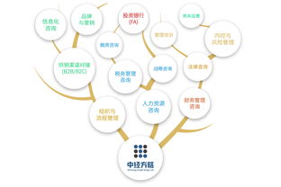 中經(jīng)方略以 1 1 2推拉式戰(zhàn)略模型 創(chuàng)新咨詢(xún)服務(wù)